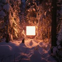Jonathan Kawchuk - North
