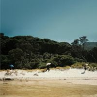 Albrecht La'Brooy - Tidal River
