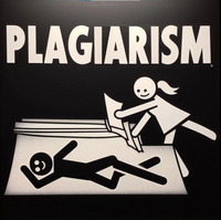Rose Mulet - Plagiarism