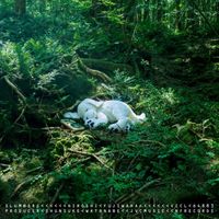 Hiroshi Fujiwara - slumbers