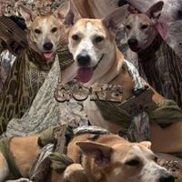 Left Brain - Mind Gone, Vol. 3: dogGONE