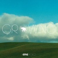 CYNE - Growing