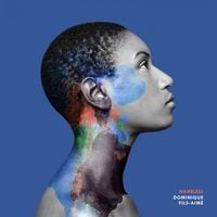 Dominique Fils-Aim&eacute; - Nameless