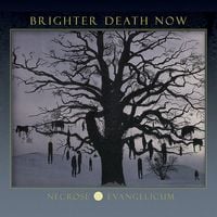 Brighter Death Now - Necrose Evangelicum