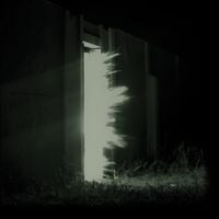 Fink - Horizontalism