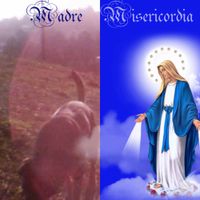 Necesito El Valor Tanto Como Necesito El Miedo - madre misericordia