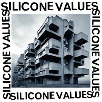 Silicone Values - How to survive when people don't like you and you don't like them