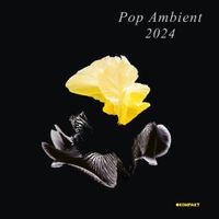 Various Artists - Pop Ambient 2024