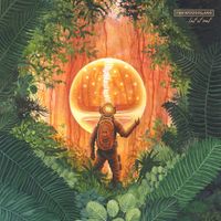 Firewoodisland - Let It Out