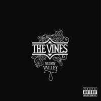 The Vines - Vision Valley