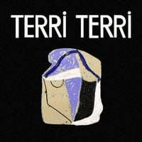 Terri Terri - Attention