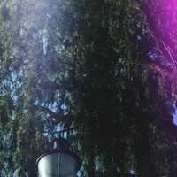 Milio - Suzulight EP