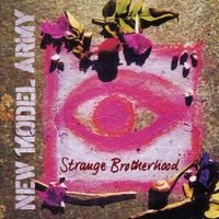 New Model Army - Strange Brotherhood