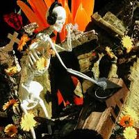 Karms - Flowers Bloom In A Dark Room