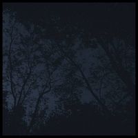 Nacht Yar - nacht yar