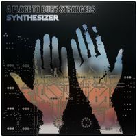 A Place to Bury Strangers - Synthesizer