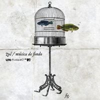 Zoé - MTV Unplugged: M&uacute;sica de Fondo