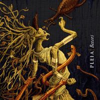 Pleia - Betori