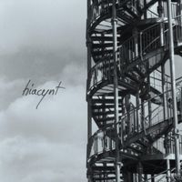 Hiacynt - klatka z żeber