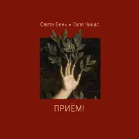 Chikiss - Приём!