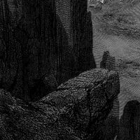 Núll - Entity