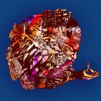 Fatboi Sharif - Psychedelics Wrote the Bible