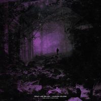 What Lies Below - Darker Colors (Deluxe Edition)