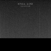 Valleyview - Still Life