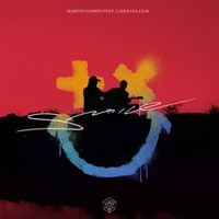 Martin Garrix - Smile