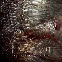 Black/Lava - Hysteron