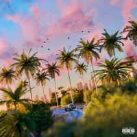 DEELEE S - Saison chaude