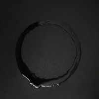 Pleura - Pleura