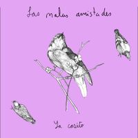 Las Malas Amistades - Ya Casito