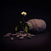Joy Oladokun - Drugs
