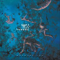 Suns of the Tundra - Murmuration