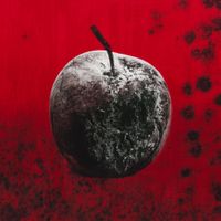 Silos - Black Mold