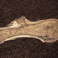 Holywater - Arboreal