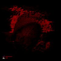 Distorted Vortex - BLEED