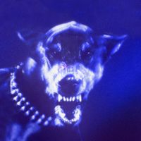 Zorah - Ultraviolenti