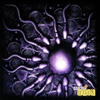 M&oelig;nia - Adici&oacute;n+