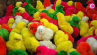 Thevoid - Chicken Music