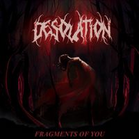 Desolation - Fragments of You