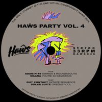 Various Artists - Haŵs Party Vol. 4