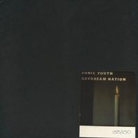 Sonic Youth - Daydream Nation / Touch Me I'm Sick / Providence / Teenage Riot