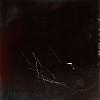 Michael Gelinas - Faulty Premise
