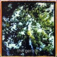 The Gerbils - Are You Sleepy?