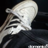 domenico - closing curtains