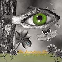 The Sunshine Fix - Green Imagination