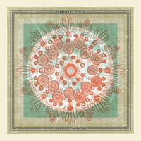Trampled By Turtles - Life is Good on the Open Road