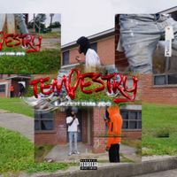 LAZER DIM 700 - Tempestry